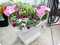 AG-planters.png