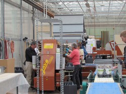 Prod6_14-1000.jpg