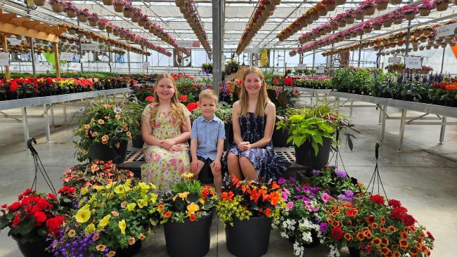 26sale3 13inch baskets 14inch planters(web).jpg