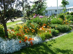 Landscape2_14-1000.jpg